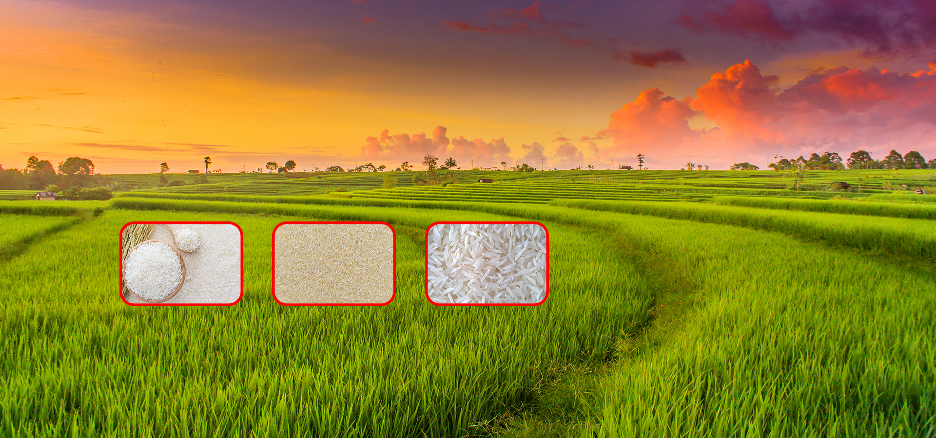 slider-image1